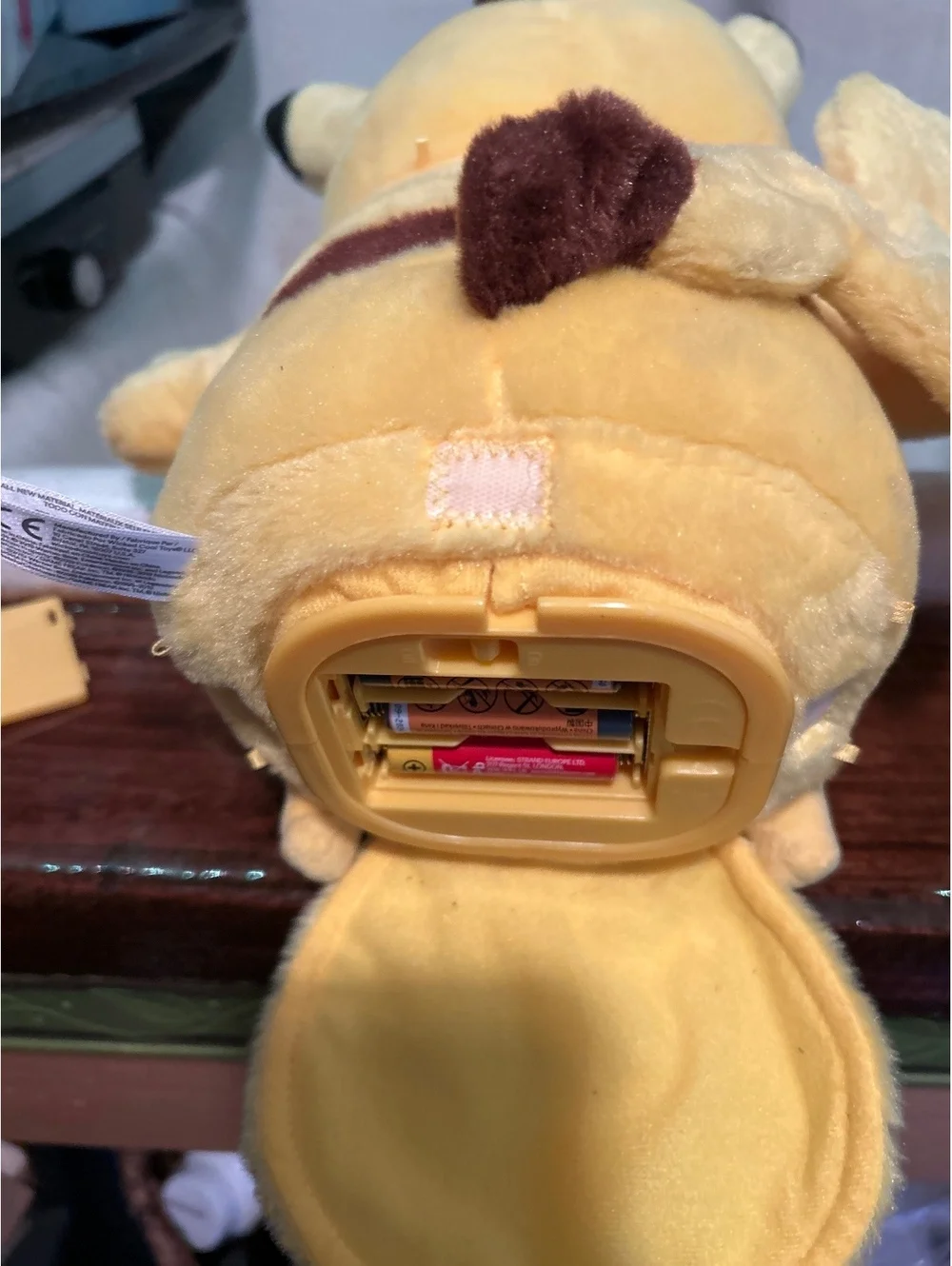 Pokemon this detective